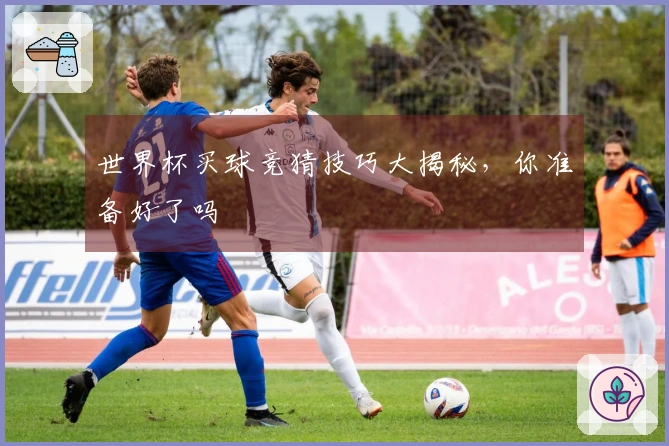 世界杯买球竞猜技巧大揭秘，你准备好了吗