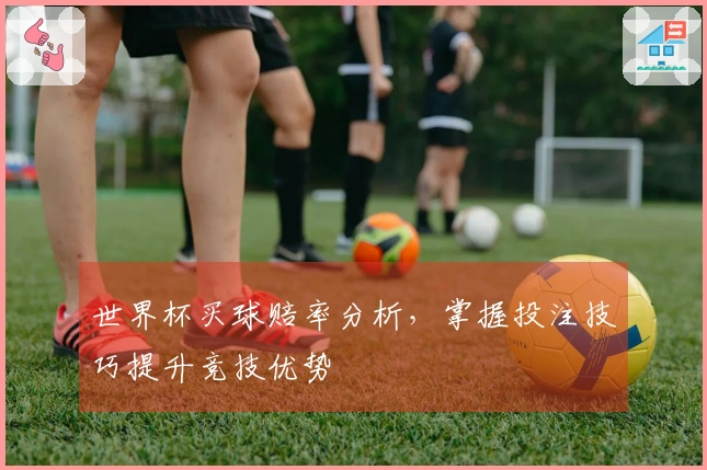 世界杯买球赔率分析，掌握投注技巧提升竞技优势