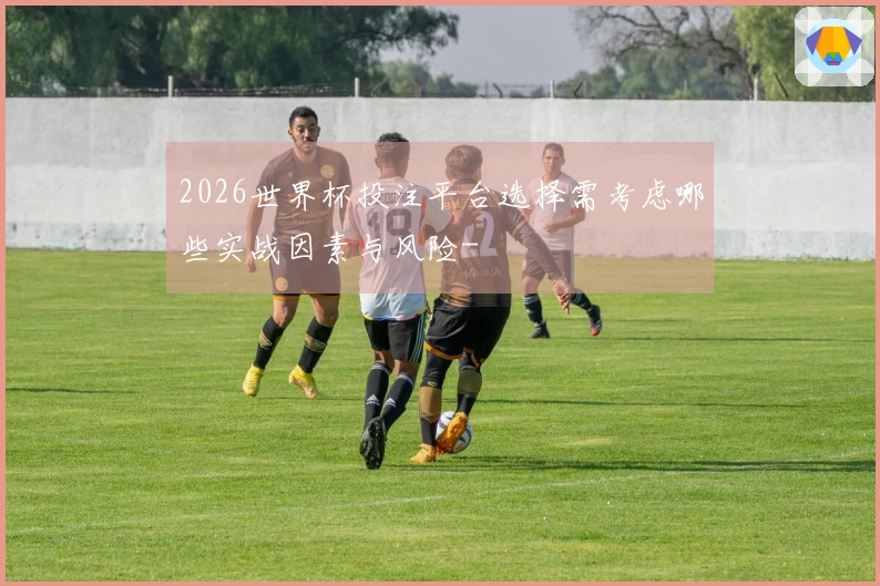 2026世界杯投注平台选择需考虑哪些实战因素与风险-