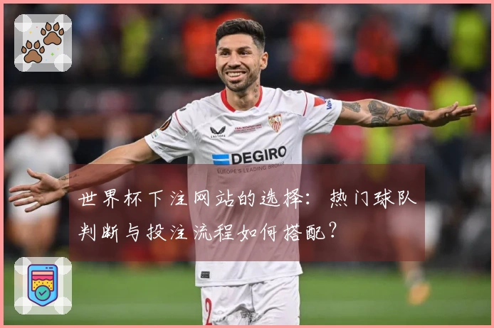 世界杯下注网站的选择:热门球队判断与投注流程如何搭配?