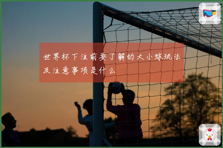 世界杯下注前要了解的大小球玩法及注意事项是什么