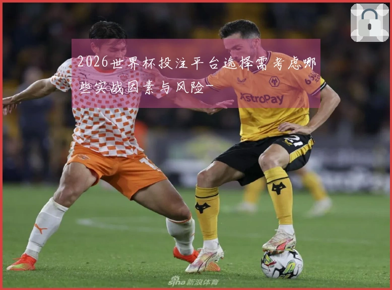 2026世界杯投注平台选择需考虑哪些实战因素与风险-