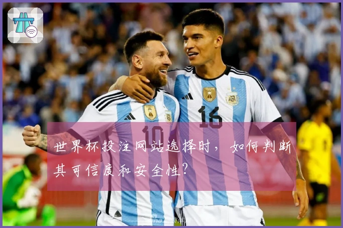 世界杯投注网站选择时，如何判断其可信度和安全性？