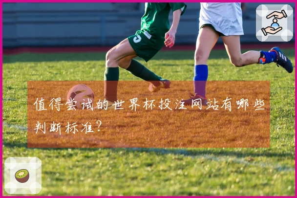 值得尝试的世界杯投注网站有哪些判断标准？