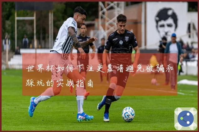 世界杯如何下注更靠谱避免被骗和踩坑的实战指南