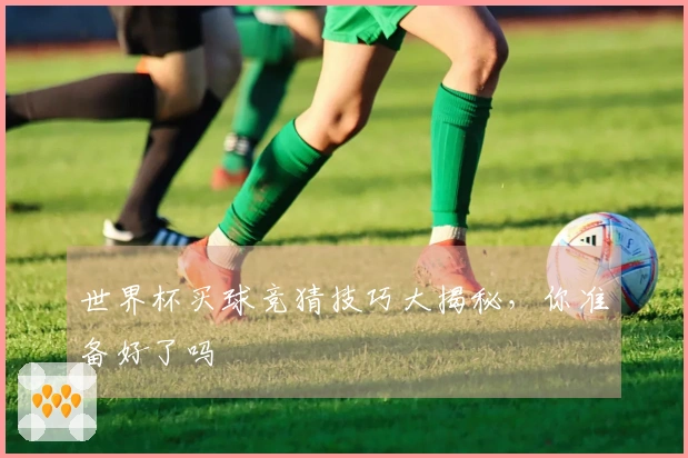 世界杯买球竞猜技巧大揭秘,你准备好了吗