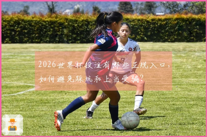 2026世界杯投注有哪些正规入口，如何避免踩坑和上当受骗？